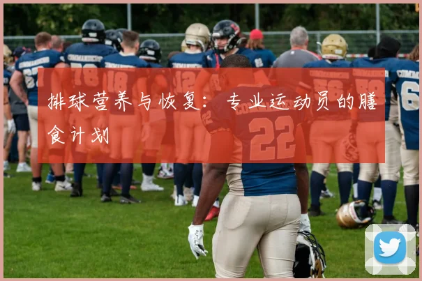 排球营养与恢复：专业运动员的膳食计划